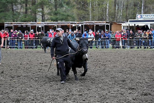 Impressionen vom ersten Frühjahrsmatch 2019 im Rarner Goler. 