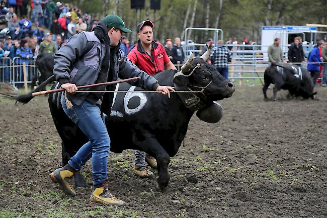 Impressionen vom ersten Frühjahrsmatch 2019 im Rarner Goler. 