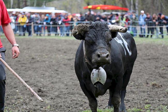 Impressionen vom ersten Frühjahrsmatch 2019 im Rarner Goler. 