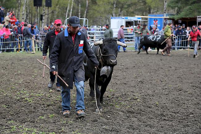 Impressionen vom ersten Frühjahrsmatch 2019 im Rarner Goler. 