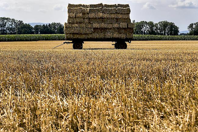 Die Rückstände auf Bio-Höfen gelangen durch Verfrachtungen von herkömmlichen Betrieben auf die Bio-Äcker.