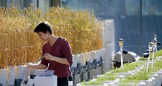 Mit der Anpassung d&uuml;rften Schweizer Landwirte ihre Erzeugnisse k&uuml;nftig auch beim Einsatz des Futtermittelzusatzes als "GVO-frei" bezeichnen.