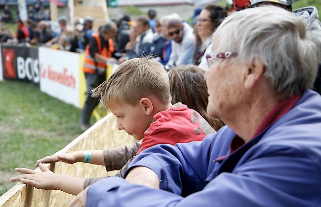 Das Kantonale 2019 ist am Samstag mit den Kämpfen der Rinder und den Zweitmelken gebührend lanciert worden. 