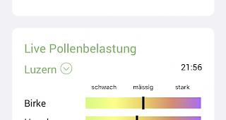 Die App &laquo;Ally Science&raquo; gibt Auskunft &uuml;ber Pollenbelastung.