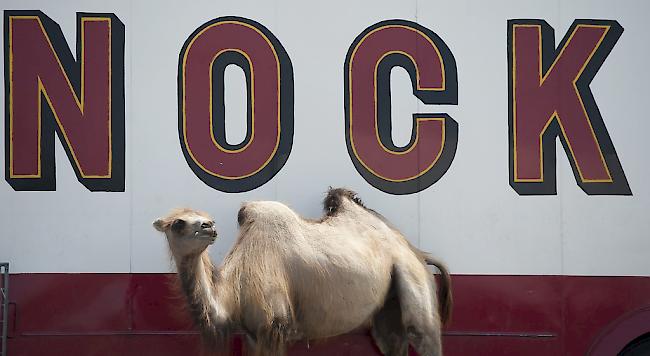 Der Circus Nock gibt nach 158 Jahren auf.