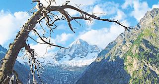 Bietschtal. Ein illegaler Abschuss eines G&auml;msbocks w&auml;hrend der Hochjagd 2018 sorgt f&uuml;r rote K&ouml;pfe.Foto wb