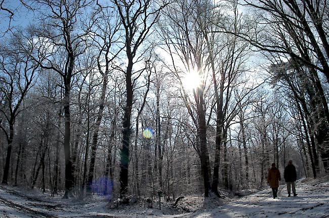 In der Schweiz ist es im Winter nahezu unmöglich, die von der Weltgesundheitsorganisation WHO empfohlene tägliche Dosis von 0,024 Milligramm an Vitamin D zu produzieren.  