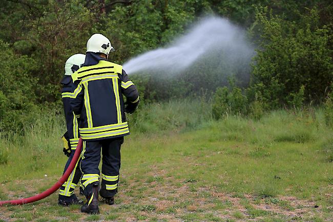 Die Feuerwehr drängt die Flammen zurück. 