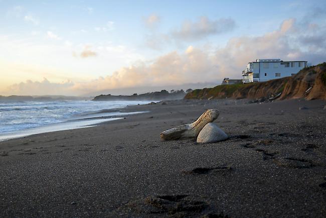 Strand in San Simeon an der Westküste von Kalifornien.