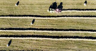 Bauernverbandspr&auml;sident Markus Ritter fordert eine marktkonforme Entsch&auml;digung f&uuml;r enteignetes Kulturland. 
