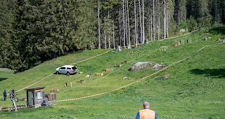 Bei Revisionsarbeiten der Titlis Gondelbahn ereignete sich am Mittwoch auf der Gerschnialp ein tragischer Arbeitsunfall.