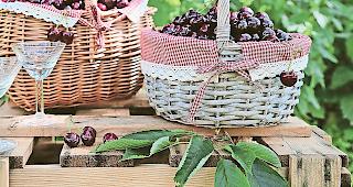 Knackig und s&uuml;ss. Am besten schmecken Kirschen frisch gepfl&uuml;ckt vom Baum.