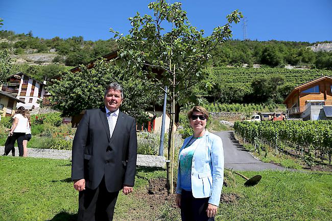 Der Baum ist gepflanzt.