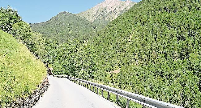 Auf der Strasse Richtung Binn wurde der Bär gesichtet.