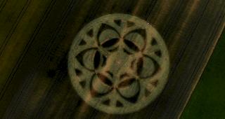 Der pr&auml;chtige Kornkreis bei B&uuml;ren an der Aare hat einen Durchmesser von rund f&uuml;nfzig Meter. 