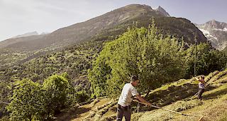Wetterextreme. Der Klimawandel stellt die Landwirtschaft vor immer gr&ouml;ssere Herausforderungen. (Symbolbild)