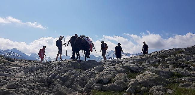 Die Hochschulabsolventen genossen das Panorama...