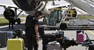 Sicherheitskr&auml;fte untersuchen nach der Drohung das betreffende Flugzeug der Lufthansa.