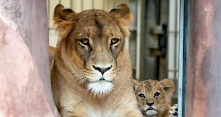 Da eine Obduktion nicht mehr m&ouml;glich ist, werden die Hintergr&uuml;nde unklar bleiben. (Symbolbild)