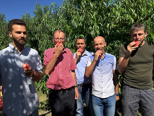 Pascal Bassols, Agro Sélections Fruits (Frankreich, Jacques Rossier,  Chef des Amtes für Obst- und Gemüsebau, Pierre Millet, Gillibert Pépinières Viticoles (Frankreich, Gerald Dayer, Chef der Dienststelle für Landwirtschaft und Sven Knieling, Agrartechnischer Mitarbeiter beim Amt für Obst und Gemüsebau.