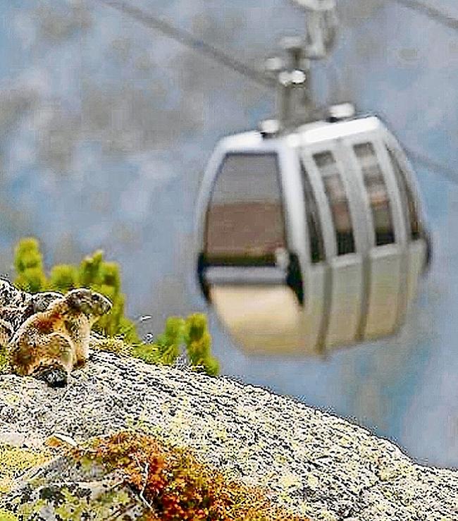 Offene Zukunft: Wie lange wird die Hannigbahn noch fahren?