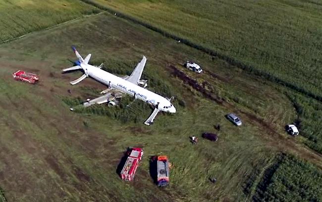 Neben den 226 Passagieren befanden sich sieben Besatzungsmitglieder an Bord. Die Maschine sollte von Moskau nach Simferopol auf der Halbinsel Krim fliegen, wo viele Russen Ferien machen.