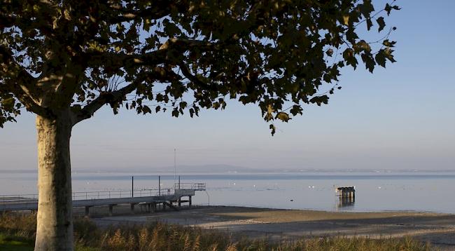 Auf dem Bodensee wurden zwei Personen bei einer Bootskollision verletzt. 