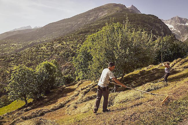 Die SAB traf sich am Donnerstag zur Generalversammlung in Les Diablerets VD. Sie will die Berglandwirtschaft stärken und fordert deshalb Korrekturen bei der Agrarpolitik 2022.