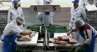 Hans Arnold (r.) aus Ried-Brig konnte am Samstag in Langnau den Schweizermeistertitel im Ausbeinen in der Kategorie der Senioren erneut verteidigen.