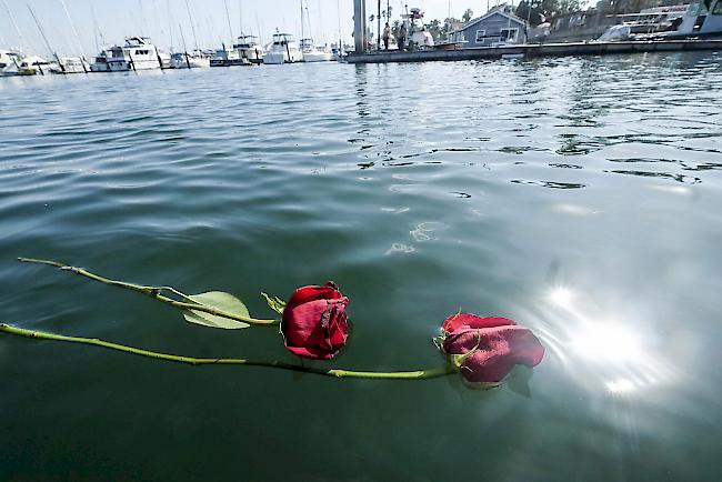 Blumen schwimmen auf dem Wasser.