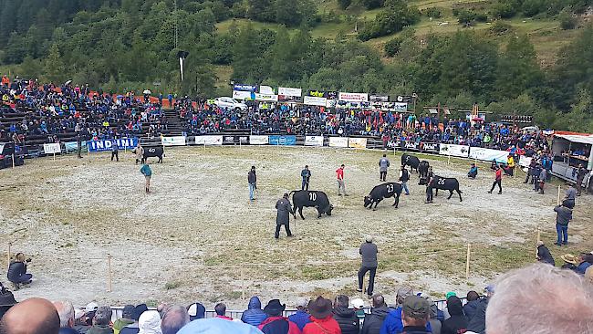 Dreiländer-Stechfest «Espace Mont-Blanc» am Sonntag in Les Haudères bei Evolène im Eringtal.