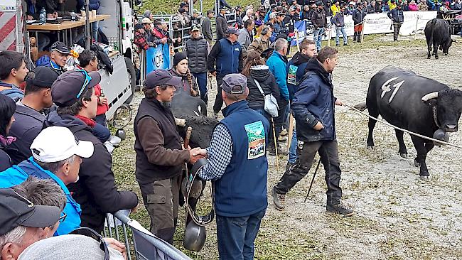 Dreiländer-Stechfest «Espace Mont-Blanc» am Sonntag in Les Haudères bei Evolène im Eringtal.