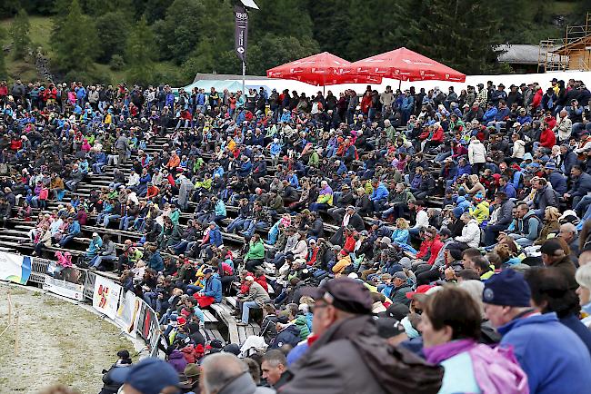 Ringkuhkampf «Reine Espace Mont-Blanc» in Les Haudères.