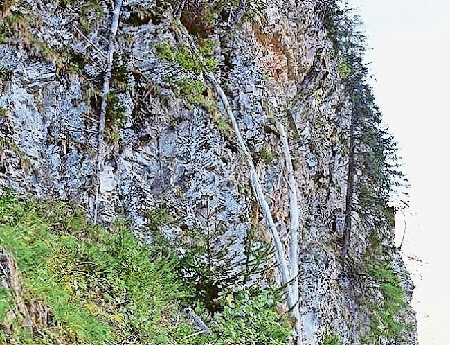 Die zwei Plastikrohre bleiben vorerst hängen.