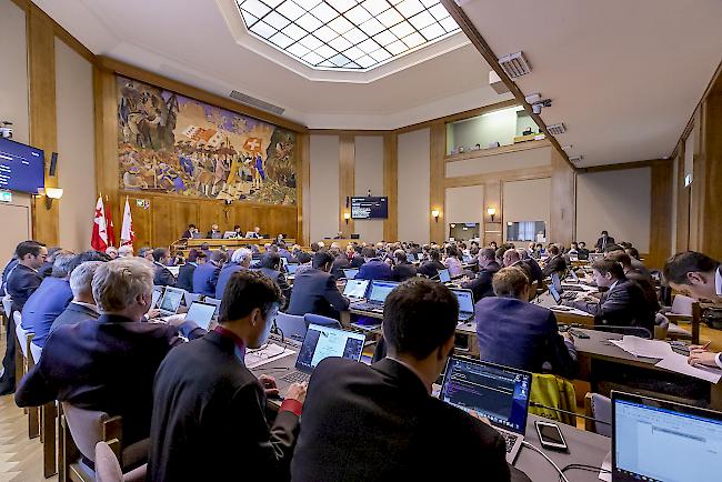 Das Parlament diskutierte am Donnerstag über die Volksinitiative «Für einen Kanton Wallis ohne Grossraubtiere». (Archivbild)