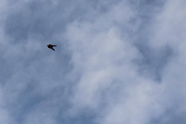 Der 43-jährige Walliser galt als erfahrener Wingsuit-Pilot 