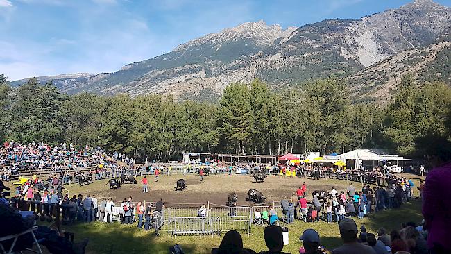 Herbstmatch 2019 in der Arena Goler.