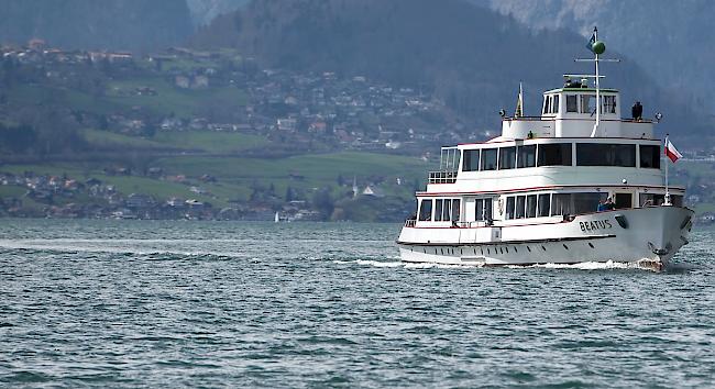 Am Freitagnachmittag ist ein Mann bei einem Segelunfall auf dem Thunersee bei Gwatt  ins Wasser gestürzt. 