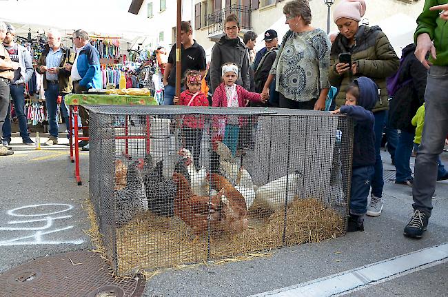 Impressionen vom 29. Püru-Märt Cultura in Turtmann.