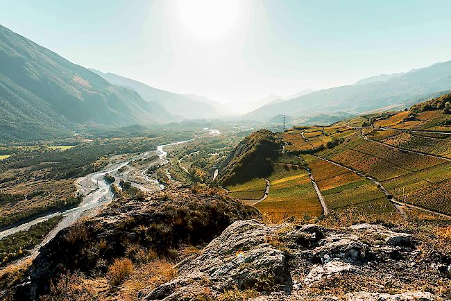 Die Lage der Weinwirtschaft im Wallis ist besorgniserregend.