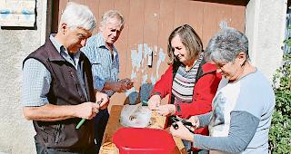 Ritzen. Nach dem f&uuml;nft&auml;gigen Wasserbad werden die Kastanien geritzt, dann kommen sie in den Tiefk&uuml;hler. Arbeit der Zunftmitglieder Armin Imwinkelried, Bruno Ittig, Marianne Imwinkelried und Elsie Ittig (von links).