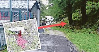 In Saas-Almagell wurden gleich neben dem Schulhaus Jagdabf&auml;lle entsorgt.