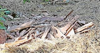 Unterhalb der alten Strasse nach Heiligkreuz wurden zers&auml;gte M&ouml;bel und Schr&auml;nke entsorgt.