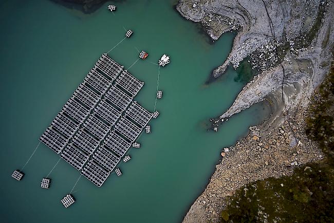 Schwimmene Solarzellen auf dem "Lac des Toules" (1810 Meter über dem Meer), einem alpinen Stausee in Bourg-Saint-Pierre im Val d