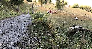 <b>Unfall mit Todesopfer.</b> In Haute-Nendaz ist ein Auto von der Strasse abgekommen. Der 76-j&auml;hrige Fahrzeuglenker verstarb sp&auml;ter im Spital an seinen Verletzungen.
