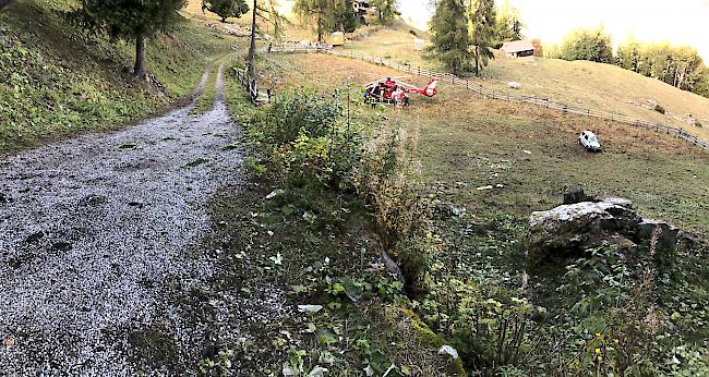 <b>Unfall mit Todesopfer.</b> In Haute-Nendaz ist ein Auto von der Strasse abgekommen. Der 76-jährige Fahrzeuglenker verstarb später im Spital an seinen Verletzungen.