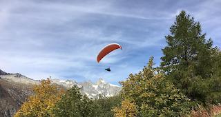 An der sechsten Ausgabe der Rollibock-Trophy in der Aletsch Arena konnten die Verantwortlichen einen neuen Teilnehmerrekord verzeichnen.