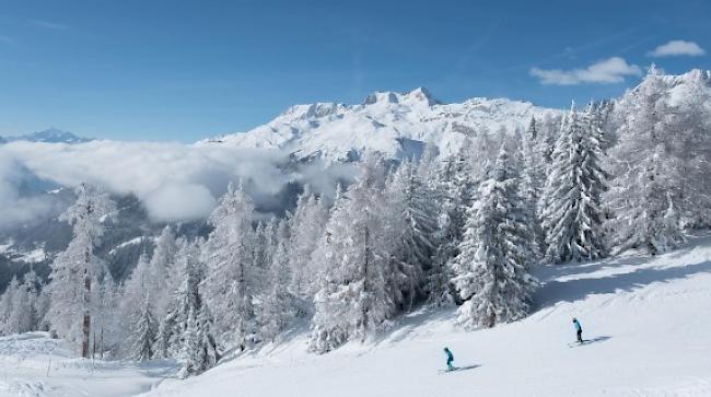 Die Bellwald Sportbahnen AG lancieren im kommenden Winter die zweite Saison mit dynamischem Preismodell.