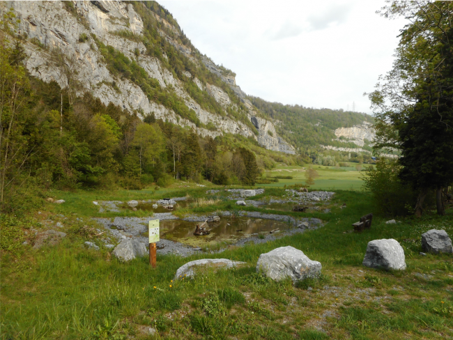 8,5 Millionen für zur Förderung von Landschaft, Biodiversität und Langsamverkehr in der Region St-Maurice.