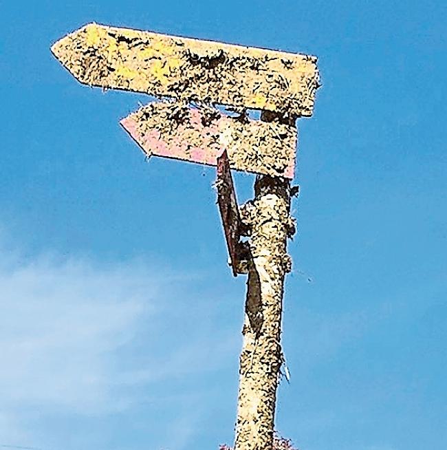 Da ging etwas in die Hose: Ein Wegweiser am Natischerberg wurde mit Gülle «verschönert».